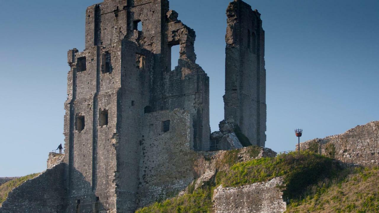 Ammonite Bed & Breakfast Corfe Castle Extérieur photo