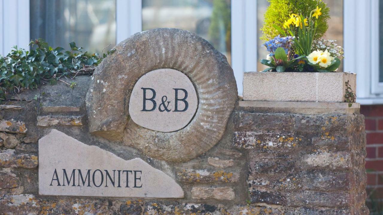 Ammonite Bed & Breakfast Corfe Castle Extérieur photo