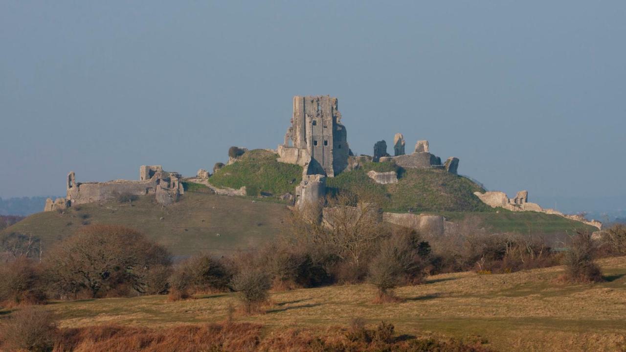 Ammonite Bed & Breakfast Corfe Castle Extérieur photo